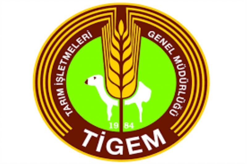 TİGEM 3.012,40 ton mahsul buğday ve 523,10 ton selektöraltı buğday satıs ıhalesı