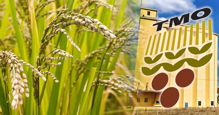 TMO Arpa Satışlarına İlave Olarak Kanatlı Hayvan Yetiştiricilerine Yönelik Buğday Satışlarına da Başlamıştır